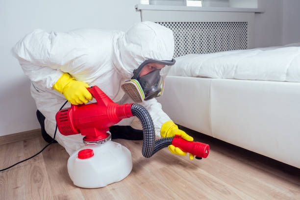 Emergency Pest Control Services in Tulia, TX